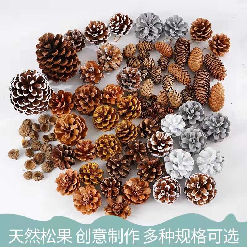 批发松果装饰品摆件松塔野生DIY手工材料干花环创幼儿园森林干树