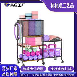 跨境哑铃大型重量架家庭健身房存储架瑜伽垫球壶铃健身装备带轮子