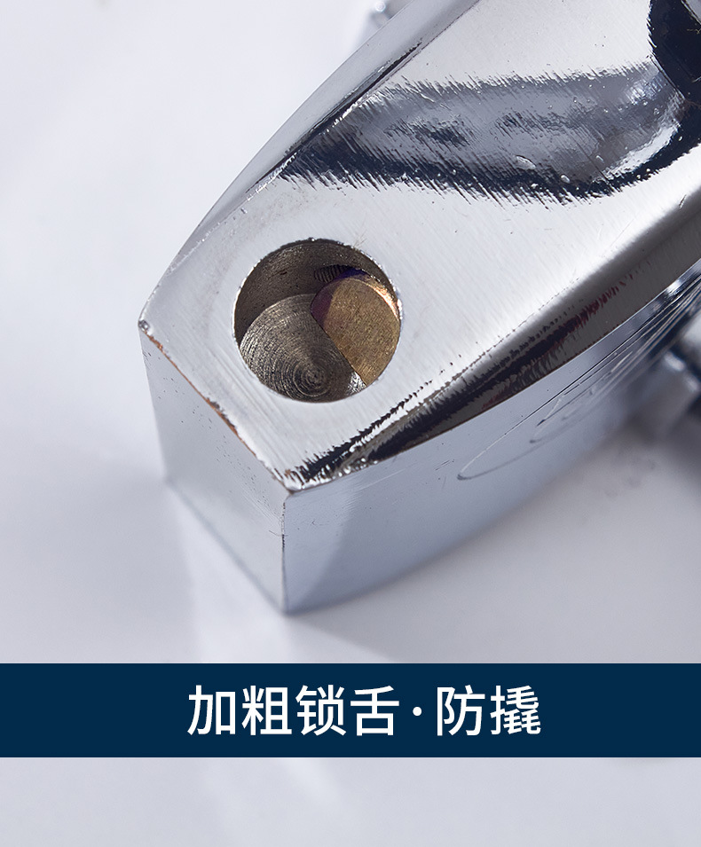 Pujiang factory direct sales thick type Shengli chrome-plated lock with waterproof ring copper core padlock warehouse door lock head pic 13
