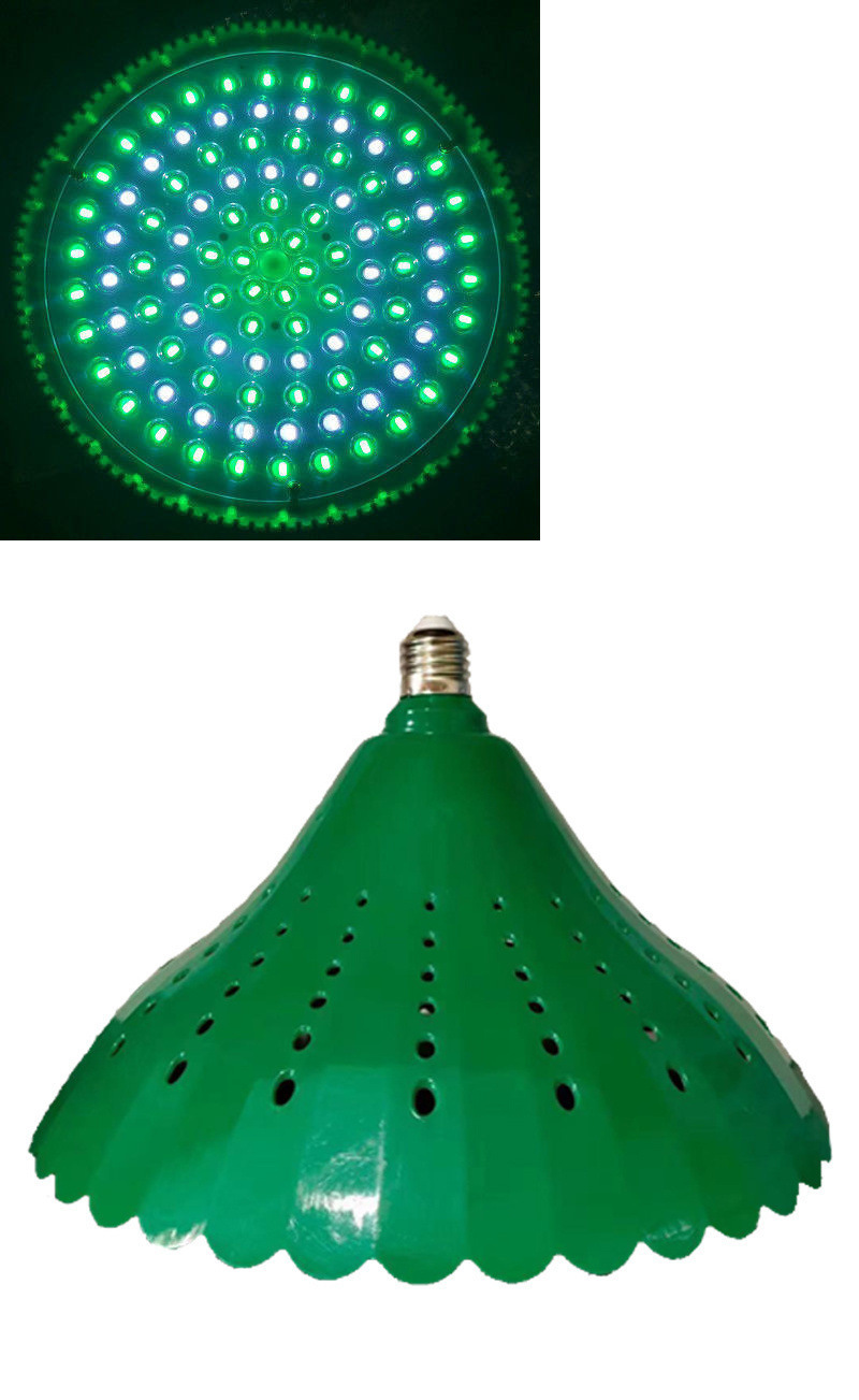 2885a16c-3fef-419c-83fc-822291765802.jpe