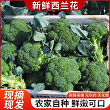 �Fժ���m���߲����r�F�δ໨�G�˻��r�ҷNֲ¶�����Lʳ�ĕr�����l