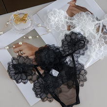 开档三角丁字裤镂空诱惑纯欲女内裤花朵刺绣情趣内衣性感内裤