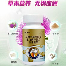 葛根小蓟枳椇子水飞蓟籽油压片糖果源头工厂营养食品现货直发