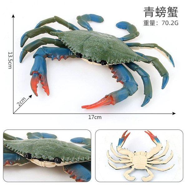 PL127-524 Green Crab 70.2g