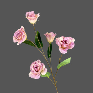 ins�L5�^��۹����滨������Y�Ҿ��b����鷿���üٻ��[�����l