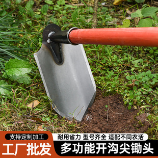 �Ӻ������z�_���˹��_�����������z�^��^���������γ����������l