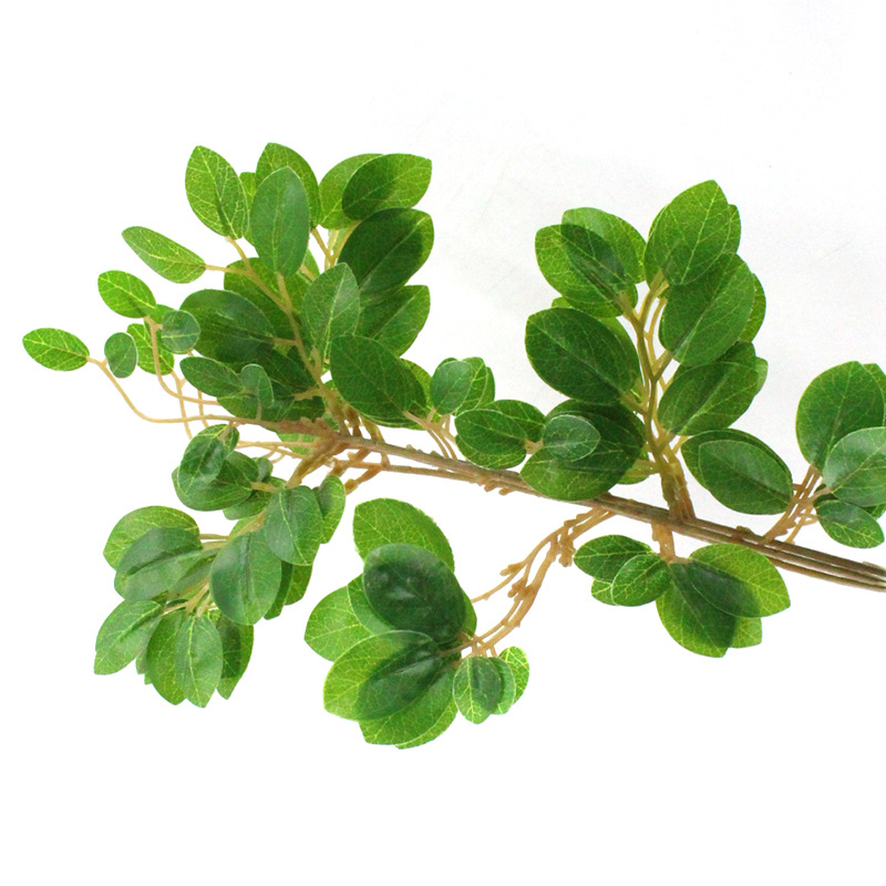 XRB-254 檵木叶单枝33叶0 (3).jpg