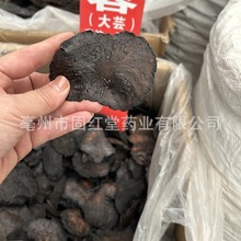 ���ɹŰ�������ɐ�� �½�ܛ�|��ɐ���iꖴ�ܿ����Ƭ���������ݾ�