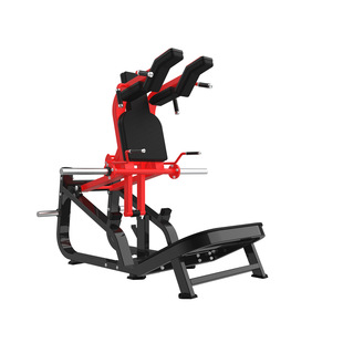RS-1035 two-way squat training machine
