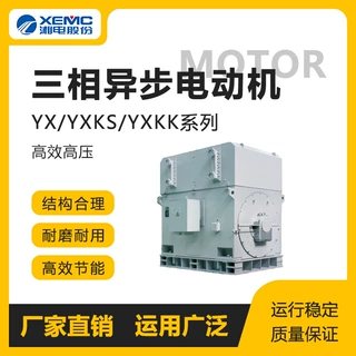 湖南湘潭电机马达厂家直供YX/YXKS/YXKK高效高压电动机三相异步