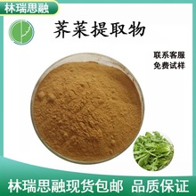 荠菜提取物10/20/30:1 荠菜浓缩粉林瑞思融现货包邮 质量保障