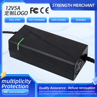 Литиевые батарейки, самокат, зарядное устройство, 12v, 5A, 6v, 6V16.8AH, 8v
