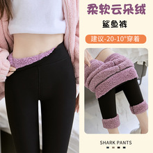 加厚羊羔绒鲨鱼裤女外穿冬季春秋紧身保暖棉裤加绒打底瑜伽芭比裤