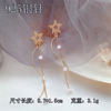 Fashionable universal silver needle, long earrings with tassels, silver 925 sample, Korean style, internet celebrity, diamond encrusted