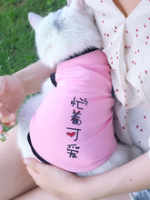 卡通猫咪衣服背心式无袖春夏季薄款泰迪狗狗小型犬小奶猫防掉毛夏