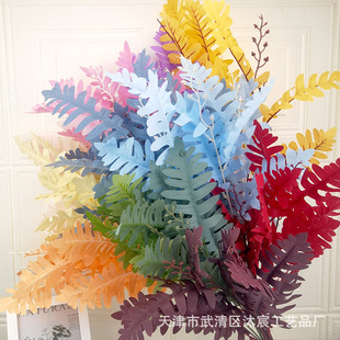 ��c���滨�����L֦�����~ ��c��Y�þƵ����b�������·��