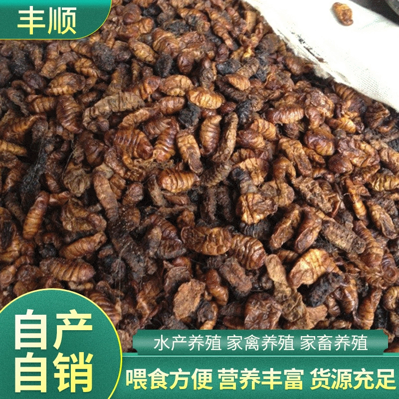 Животный белок корм Сухая куколка тутового шелкопряда курица, утка, гусиная кормовая протеина сырье рыбное хозяйство куколка шелкопряда порошок
