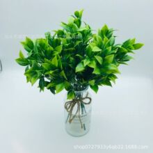 ���lֲ���� ���������~�@�־��^�b�������~����ֲ��[��