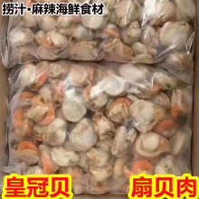 新鲜扇贝肉 大号扇贝肉红贝肉 原汁皇冠贝 带黄无沙 捞汁海鲜食材