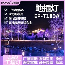 LED户外射灯抱树灯防水别墅庭院灯照树灯低压草坪景观灯地插灯