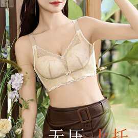 芭淇d9108#素雅蕾丝滑滑杯34-40中厚B杯聚拢侧收副乳四排扣内衣批