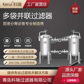 废水排放前处理多袋并联过滤器一备一用不锈钢袋式过滤器