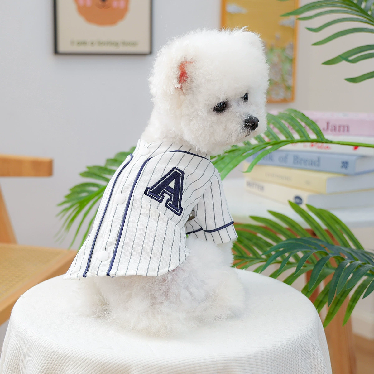 В наличии популярная одежда для щенков и кошек, прямые поставки с фабрики, стильная бейсболка на весну и осень.