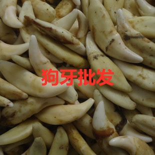�ڹ����ǹ����������朾��^؛Դ�������������̼�ֱ�����l����