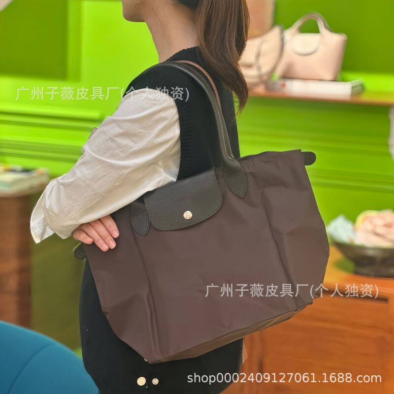 Longxiang Long Handle Medium Nylon Dumpling Bag Large Capacity Large Classic Tote Bag Foldableable Small Mommy Bag for Women