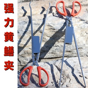 �S�X�A�X�~�Q�����q�A��~�з�A���P䓭h�l�����A�s���������l