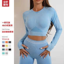 健身瑜伽服女现货跨境热销速干运动长袖长裤跑步无缝文胸瑜伽套装