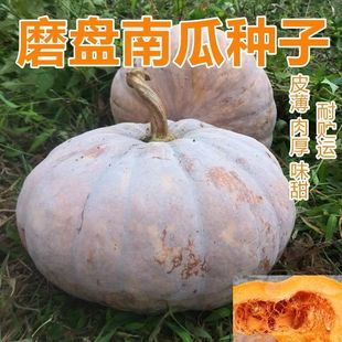 ĥ�P�ϹϷN���r���Ϲ��Ӽ�ͥ����������ϹϷN���߲˷N��