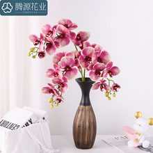 ���滨 ���z�޺����m ���m���p�ݼҾӾƵ�ܛ�b��̻�c�����ٻ�