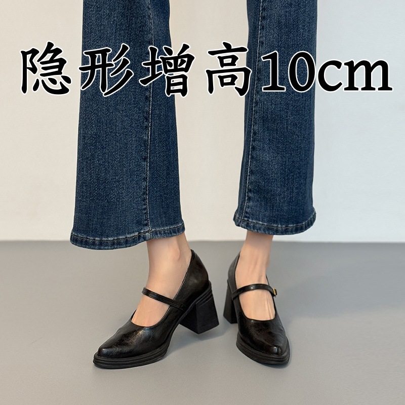 French-Style Mary Jane Women's Shoes with Hidden Height Increase, 2026 New Model, Pointed Toe, Comfortable High Heels, Soft Sole, Suitable for Commuting, Chunky Heel Single Shoes
