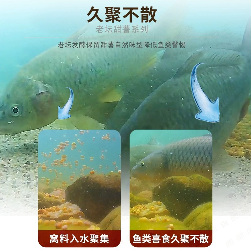 老潭トウモロコシ雑穀、老潭サツマイモ、トウモロコシ、サツマイモ、野釣り鯉餌、巣作り餌、釣り餌、フナ餌|undefined