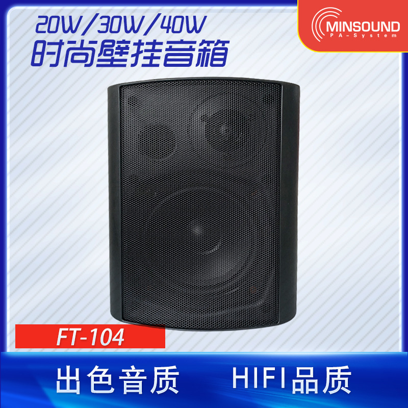 壁挂会议音箱 学校店铺会议室背景音乐 公共广播 定压定阻音箱