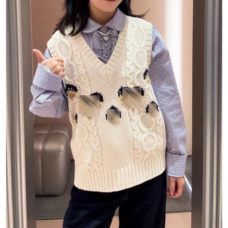 现货 2025秋季宽松V领学院风提花无袖针织衫马甲背心上衣女D1517|undefined