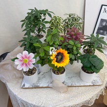 办公室桌面招财绿植小盆栽室内植物仿真花鸭掌木马醉木假花向日葵