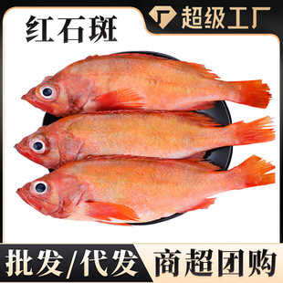 �tʯ���~�r������ʯ���~�����r��������~���l���F�~���l���ô��l