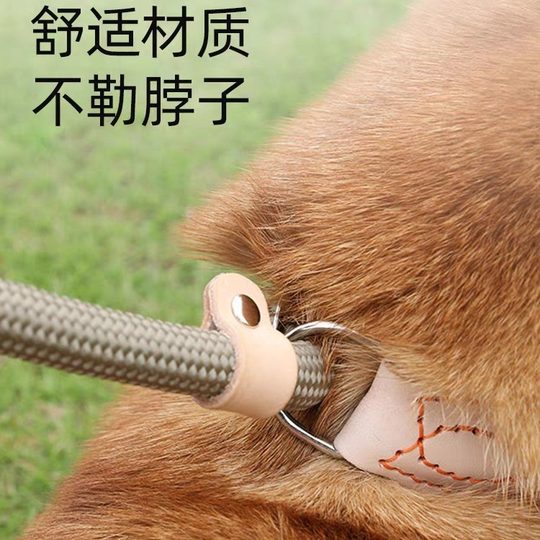 Dog Rope Explosion-proof Rush P Chain Walking Dog Leash to Prevent Breaking Free Dog Leash Medium and Large Dog Explosion-proof Rush Dog Leash