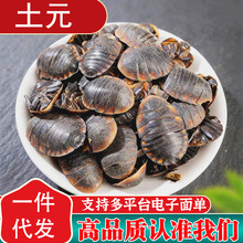 ��ș����Ԫ���x��؛��Ԫ�x��Ԫ�����M�x���M�x����Ԫ����ˮ�ݲ��