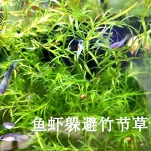 �񹝲��~�׿�ȸ�~�ˮ�w�^�p�~С�͎��~С�ݾG��С�~��ܲ�