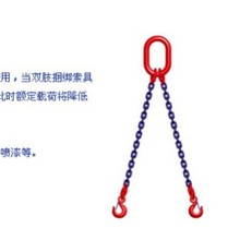 厂家特价销售正品河北巨力索具集团LSJ2-(6-34)S6级双肢链条索具