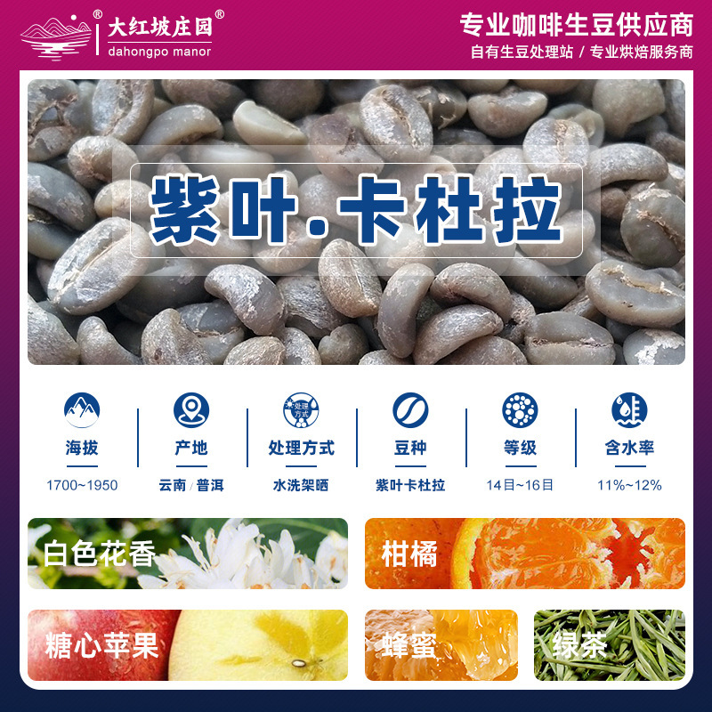 Caturra Coffee Raw Beans Yunnan Purple Leaf Caturra Arabica Coffee Pu'Er Washed Specialty Coffee Beans Wholesale