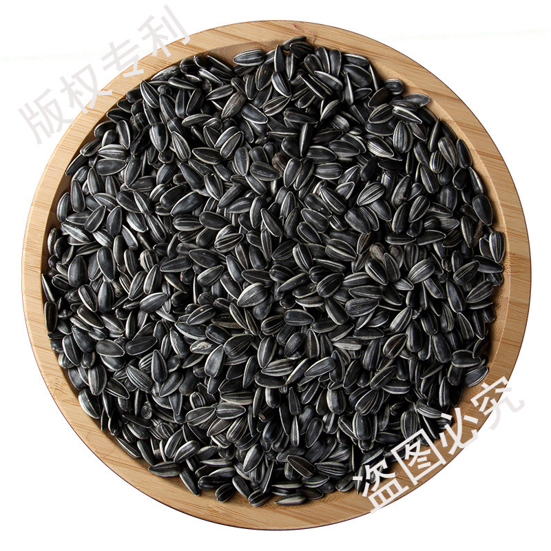油葵黑珍珠小瓜子油葵花籽内蒙古新货原味炒货生瓜子奶油薄盐零食
