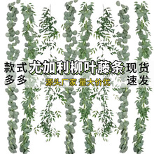 �������~�ȼ����~�ٗl���~����~�L�ټҾӻ�Y�bGֲ�ّ����쾰