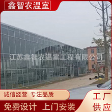 文洛式智能玻璃温室大棚建设加厚热镀锌大棚钢管全套种植