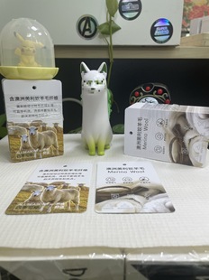 ���ܿ��������ϰ�������ū��ë�w�S����͸���p�ɷ��o늱�ů���b