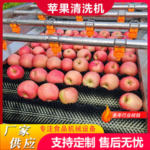 厂家现货平行毛辊清洗机全自动芒果去杂毛刷清洗机李子毛辊洗果机