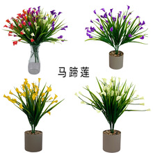 ���������R��ɏֲ�ﻨ������Ҿ��b��辰�ٻ��[��